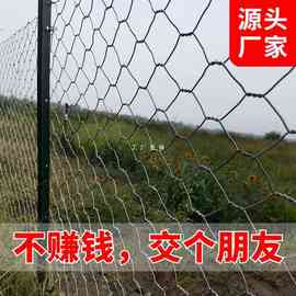 813B镀锌铁丝网围栏护栏网养殖圈牛羊猪防护网钢丝网隔离网装饰六