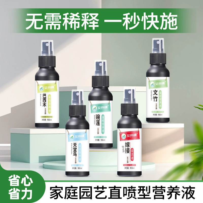 Айшан дерево бразильское дерево без разбавления прямого спрея питательный раствор