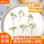 定制压花染色手机壳押花
