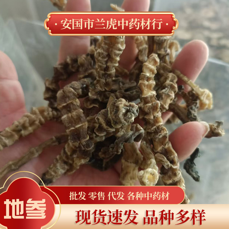 地参虫草参中药材500g煲汤药食同源大条粗条足干虫草参 地参 地蚕
