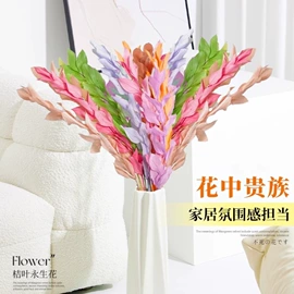 盆栽;其他园林资材;栽培基质