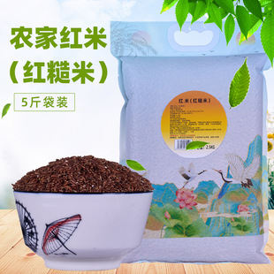 ���R�������οh��ɽ�{�Ƽt�ף��t���ף�5����R�r���Ԯa������