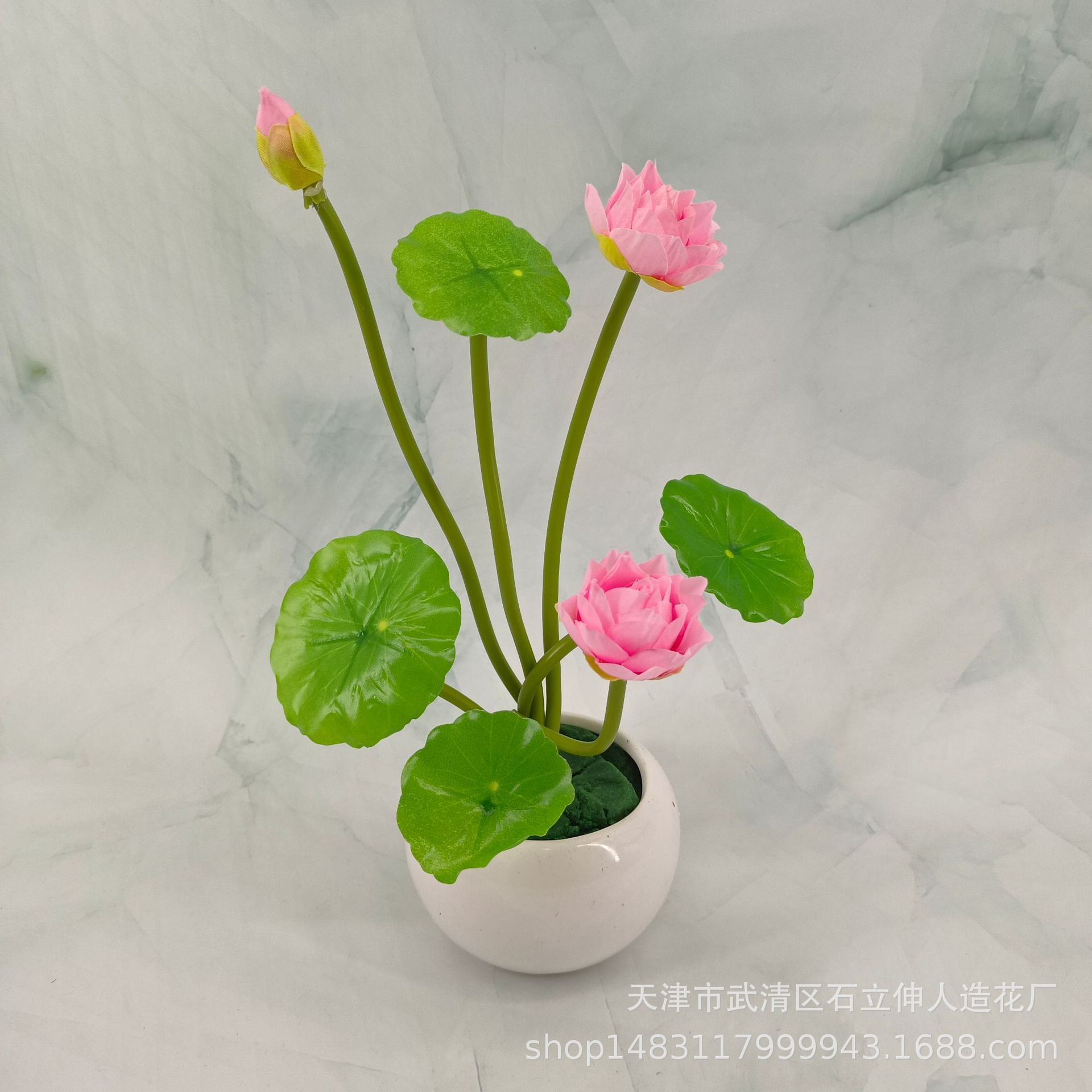 분지없이/모든 핑크