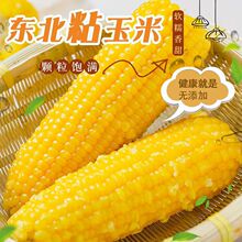 ���ڽ�۳���հ��b�|���SŴ���׮�����ժ�r��ճŴ�ּZ�S��ֱ�N