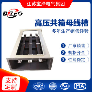 500A/600A/800A/1000A/1250A/1600A/1800A/2000A High Voltage Common Box Busbar Trunking