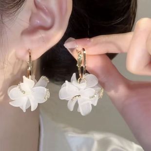 �����¿��������|Ψ����ɫ�����������L���@��Ę���h�����ȼٶ��