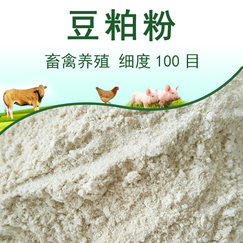 Soybean Meal Powder with a Fineness of 100 Mesh Is Used as a Feed Carrier for Aquaculture, Sea Cucumber, and Fish Feed, and as a Protein Supplement for Livestock and Poultry Feed