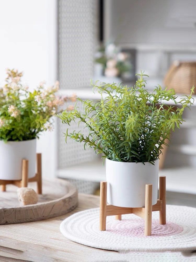 IMG_7043(20220903-071916)