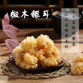 香菇;黑木耳;蘑菇