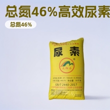 �F؛���I���� Ó��Ó���� 늏S������߀ԭ������46%�r�I����