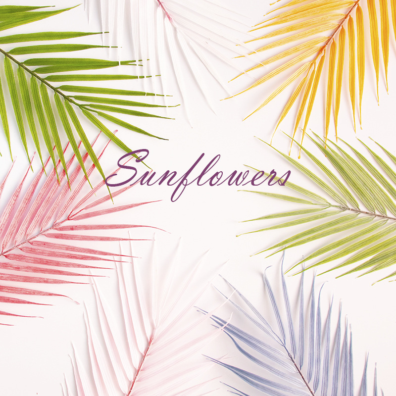 ins仿真散尾葵摄影树叶摆拍装饰小清新叶子道具简约热带树叶背景