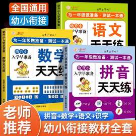 幼小衔接幼升小幼儿园早教教材书语文数学拼音汉字天天练练习册书