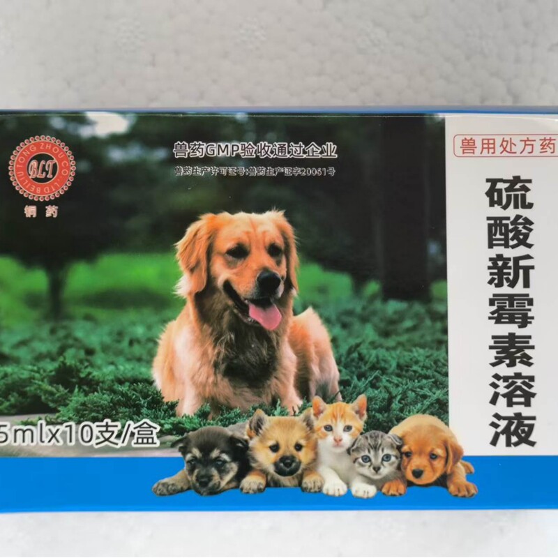 Neomycin Sulfate Oral Anti-Inflammatory Solution for Veterinary Use, Anti-Diarrheal and Anti-Colitis Medication for Dogs and Cats