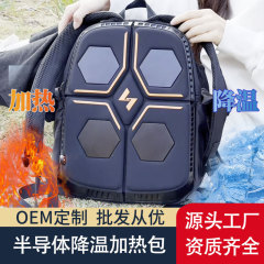 国境を越えた新製品半導体冷熱バックパックTEC冷凍徒歩降温バッグ冬の両肩背中保温バックパック