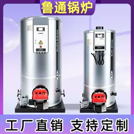 燃生物质锅炉;蒸汽发生器;燃气锅炉