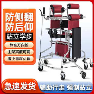 Multifunctional Walker, Adult Walker, Rehabilitation Standing Frame, Stroke Walking Training Equipment for the Elderly, Armrests