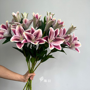 3�^ꖹ�ٺϷ��滨 �Ҿ������b[���Ĕz���߻�Y�������l