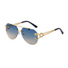 Retro trend sunglasses, European style, wholesale