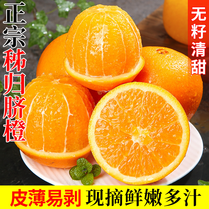Authentic Zigui Navel Oranges High Mountain Fresh Picked and Shipped Same Day Seasonal Fruit Wholesale