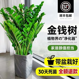 ���X�����Կ͏d�����k���҃���լ����;Gֲ�����_�I���w�ͶY