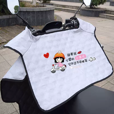 car front windproof quilt, Electric car cushion - little-sister-gray-sun-protection-big-wing-pocket