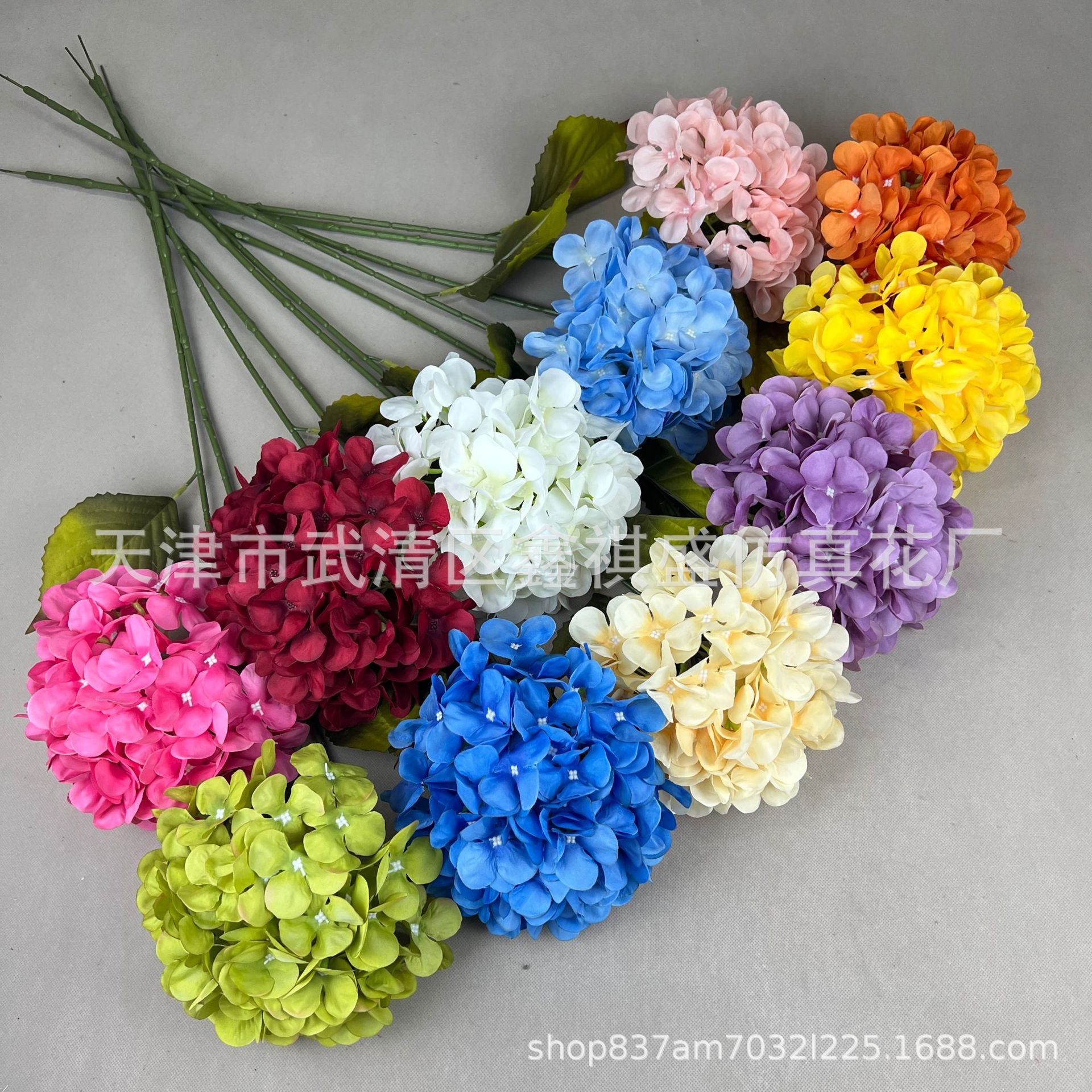 Glipper hydrangea flower Korean large hydrangea flower single…