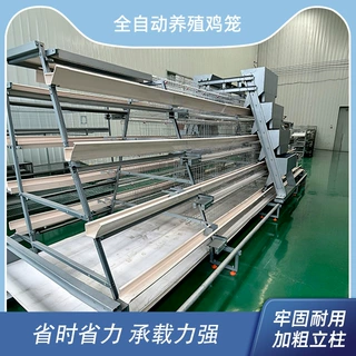 肉鸡A型笼框架蛋鸡笼全自动养殖笼具鸽子笼层叠式鹌鹑笼肉鸡H型笼