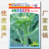 Free shipping original one -yuan stall seed manufacturer Vegetable seeds wholesale color bags, four seasons easy to grow good oral seed seed seeds