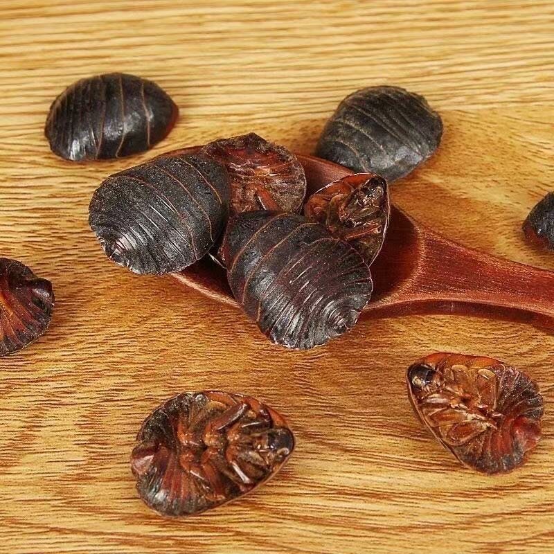 Dried Ground Beetle Tu Bie Chong 500g Wild-Caught Whole Insect TCM Herbal Ingredient for Decoction Use quality and texture