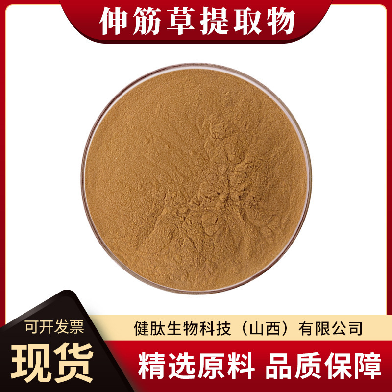 伸筋草提取物10:1-50:1多规格健肽生物全水溶性石松浓缩粉末原料