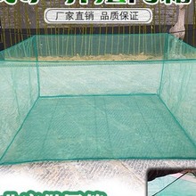 10Ŀ�Bֳ�W�����q�S�X�~���B�~���ӌ����Bֳˮ�a�W����~�;W��