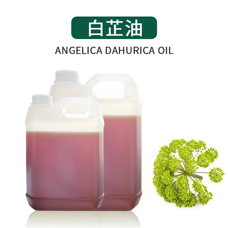 白芷油 白芷精油 按摩精油全身肩颈通经络开推背面部刮痧身体推油