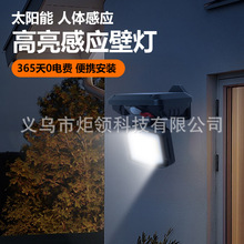 �¿�̫��һ��ʽ�ڵ�����ͷ���۵������ӦͥԺ��tpc ˫��绨԰��