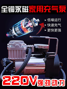 Electric Air Pump Equipment Household Football Basketball Car Tire Pump Swimming Ring Ball 220V Air Pump