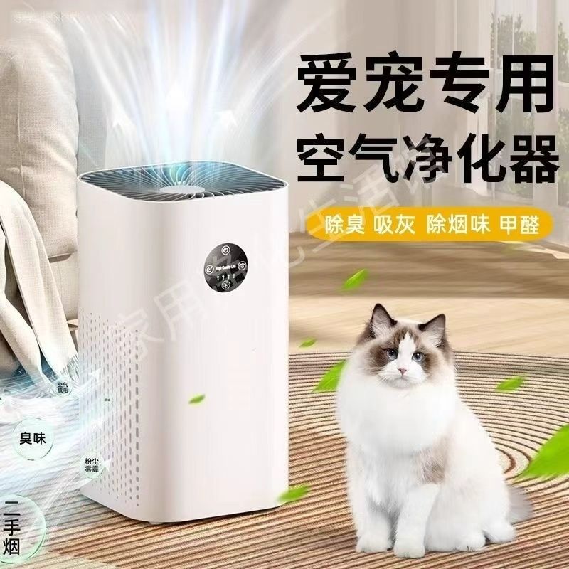 Negative Ion Air Purifier for Home Dormitories to Remove Formaldehyde, Smoke and Odor, Indoor Haze Factory Direct Sales