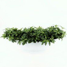 仿真小植物辣椒叶绿植墙打底叶子餐厅花箱装饰绿萝叶假绿植橄榄叶