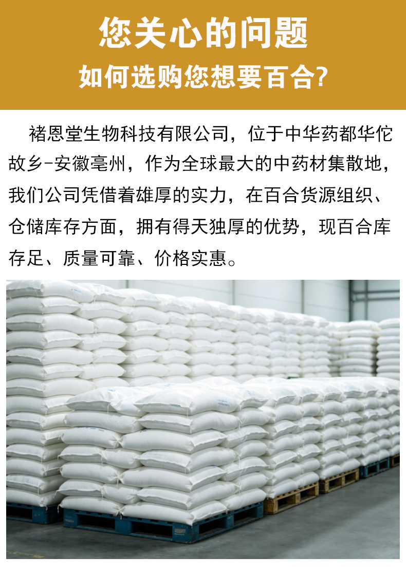 Dried Lily Bulb (Lilium brownii) Longya Bai He — Sulfur-Free Hunan Lily for Tea & Soup overview