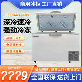 驰雪超低温冰柜零下50-60度商用大容量金枪鱼海鲜速冻冷柜负80度