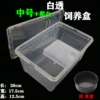 Medium -sized white breeding box+climbing platform