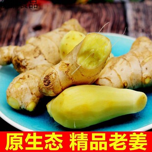 四川老姜8斤生姜新鲜现挖大黄姜老黄姜月子姜土姜老姜母家用黄姜-阿里巴巴