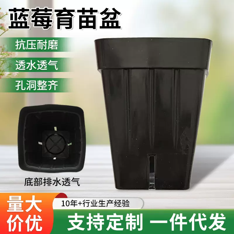 厂家批发蓝莓盆专用育苗盆高透气黑色PP材质侧壁垂直条纹塑料花盆