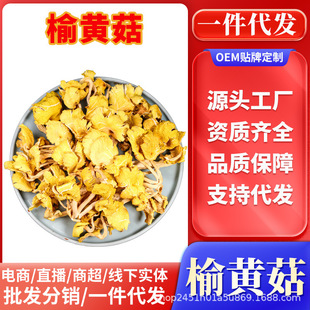 �u�;����r��؛��Ұ�������خa���SĢ�S���㹽������ʳ�þ��Ҝ�