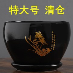 特大サイズの陶磁器の植木鉢のリンゴはトレーの高級な着地の盆栽の蘭の緑の羅の吊り蘭の植木鉢の花の緑の植