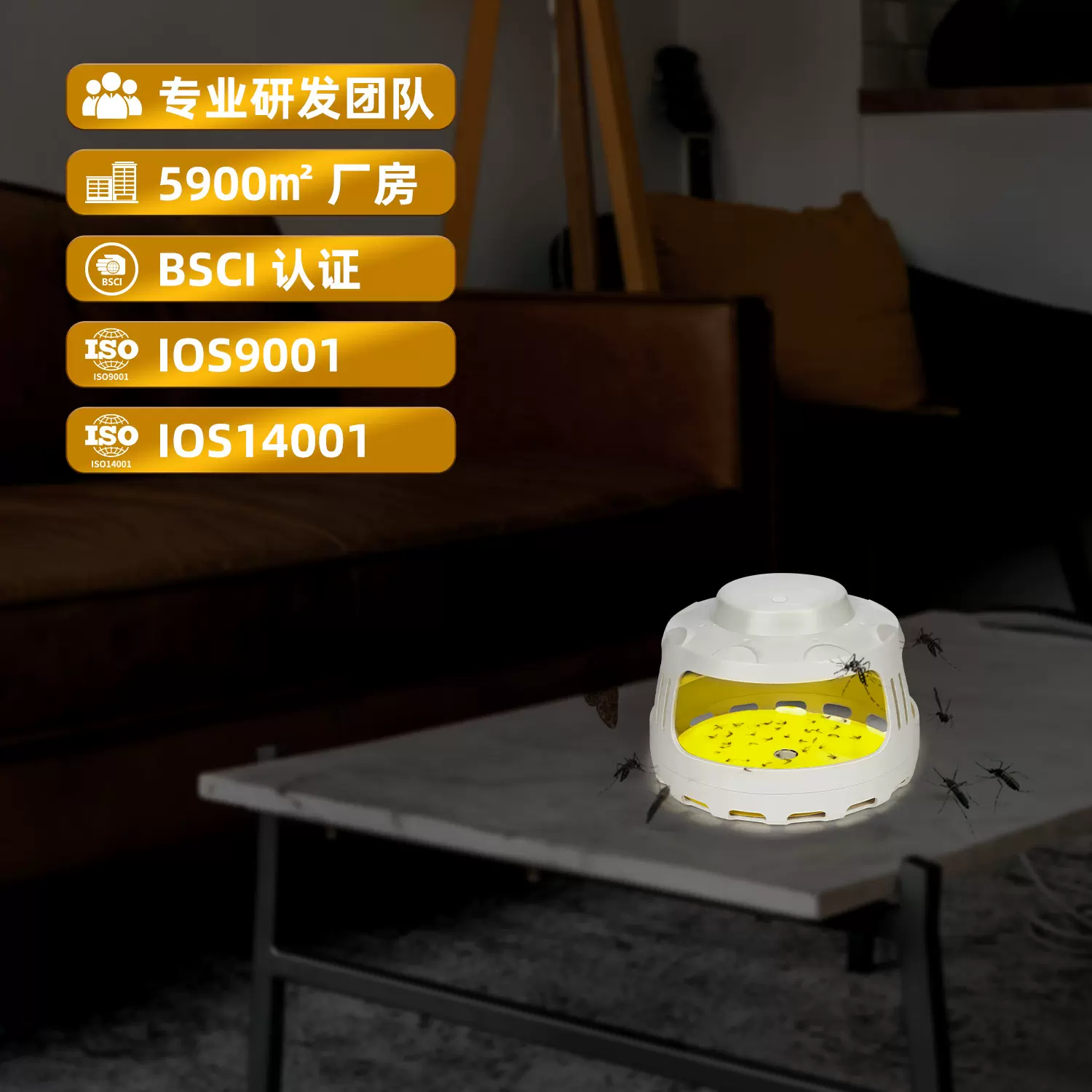 粘捕式诱捕器 灭蝇跳蚤飞蛾灯灭蝇器 捕蝇驱蚊灯灭蚊器 灭蚊灯