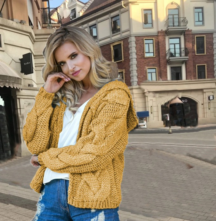 2026 Autumn and Winter Amazon New Style Twist Hooded Cardigan European and American Style Pure Color Thick Knit Sweater for Women 2026 Autumn and Winter Amazon New Style Twist Hooded Cardigan European and American Style Pure Color Thick Knit Sweater for Women
