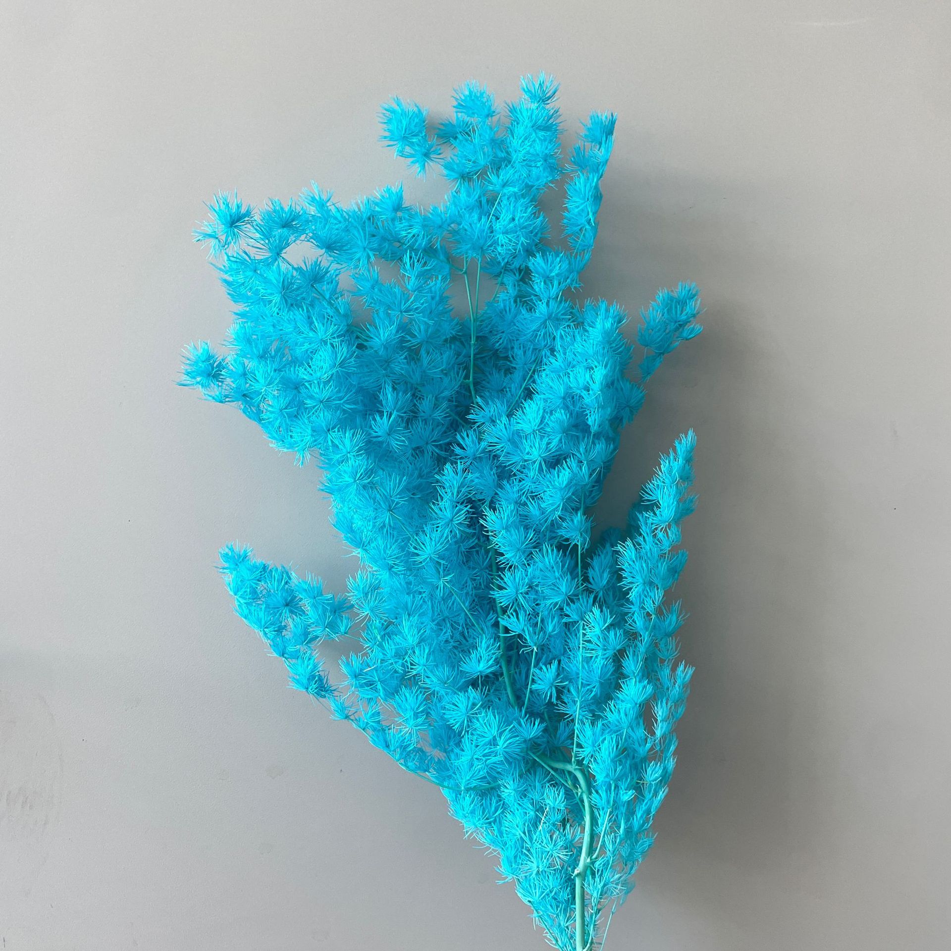 Biru Danau