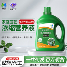 领沃龟背竹专用营养液一件代发天堂鸟花卉绿植盆栽植物浓缩液体肥