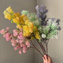 �羳���N���R�ɽ��X�ݷ��滨Ʒ�|؛ԴԴ�^���S���lܛ�b��c����