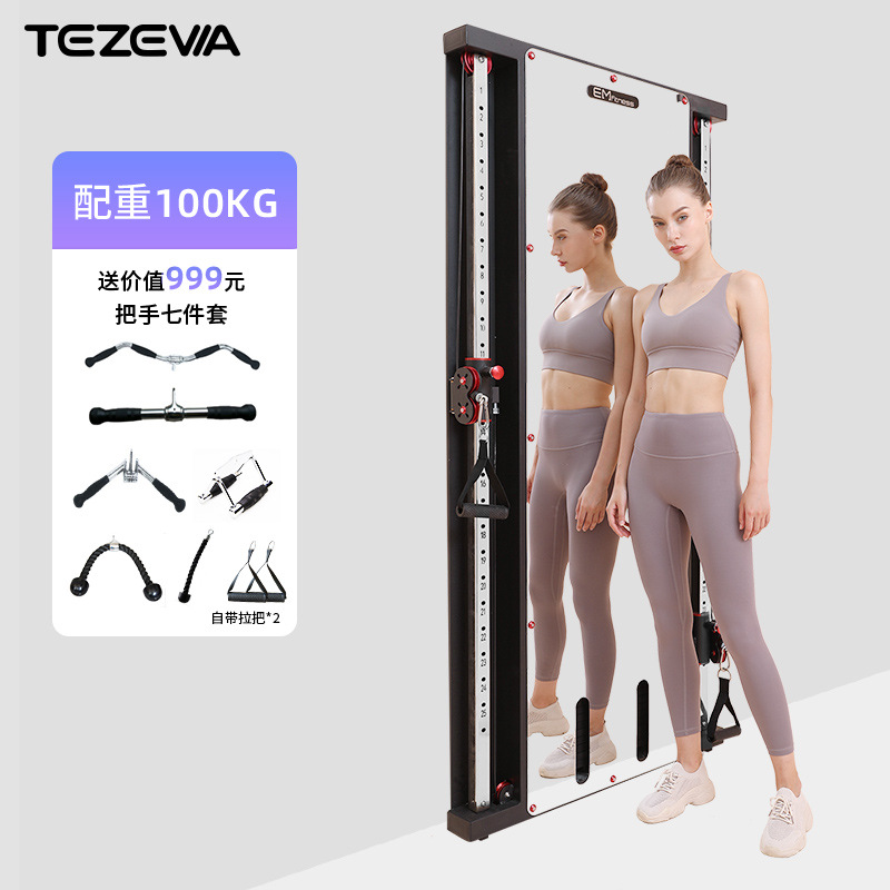 Pórtico de pájaros montado en la pared espejo de pared de un solo lado montado en la pared para el hogar pequeño pájaro poder entrenador integral