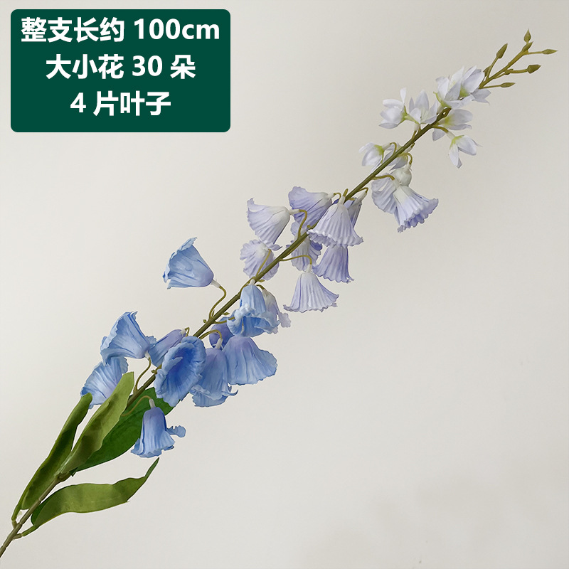 Blue-purple long-branch lily of the valley